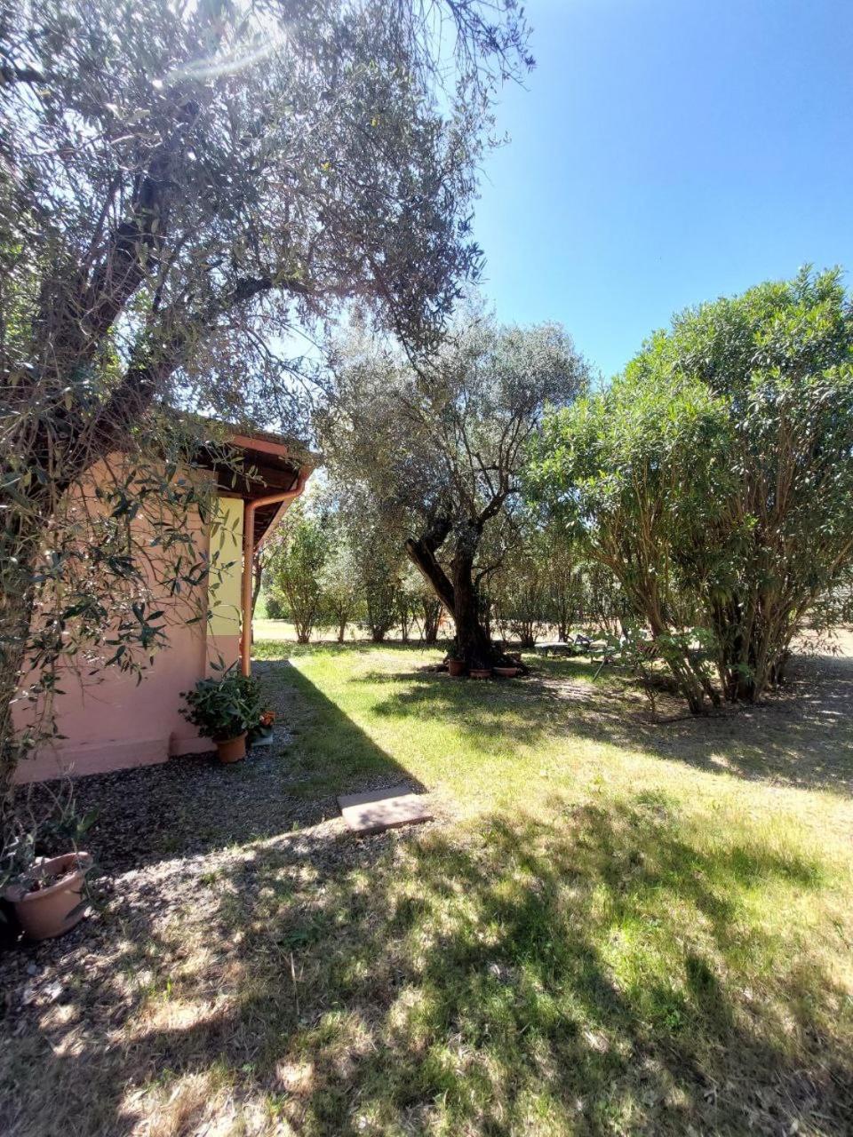 Apartmán Casa L' Antico Ulivo Iglesias Exteriér fotografie